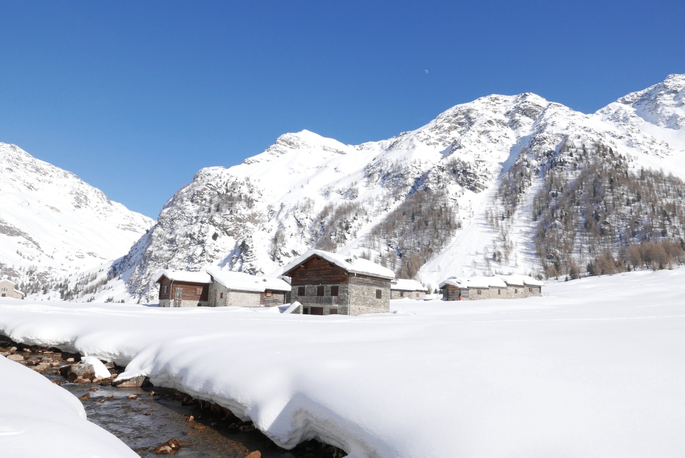 Blue Monday survival kit